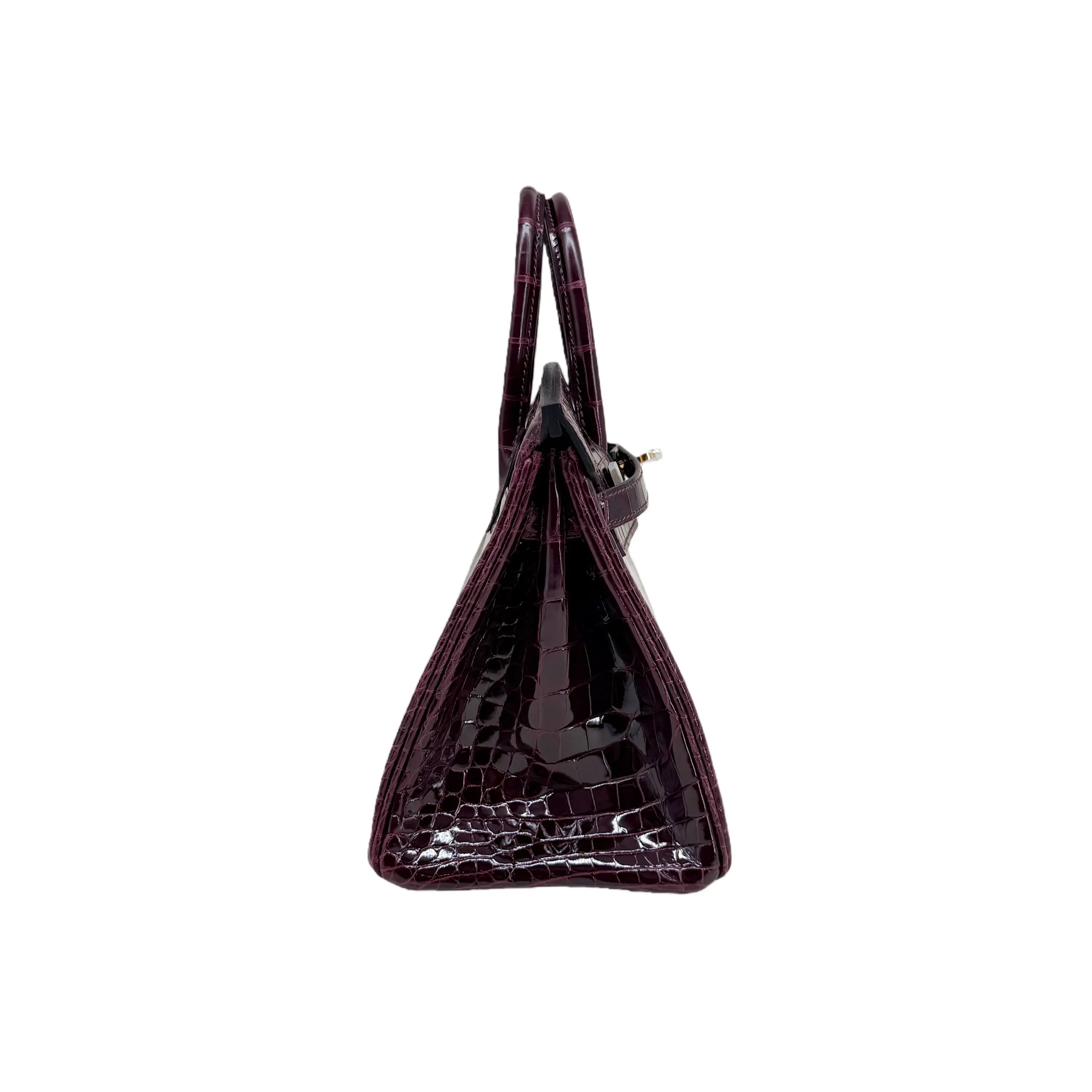 BK 25 Prune Lisse Alligator Gold Hardware – Exotic Mini Masterpiece