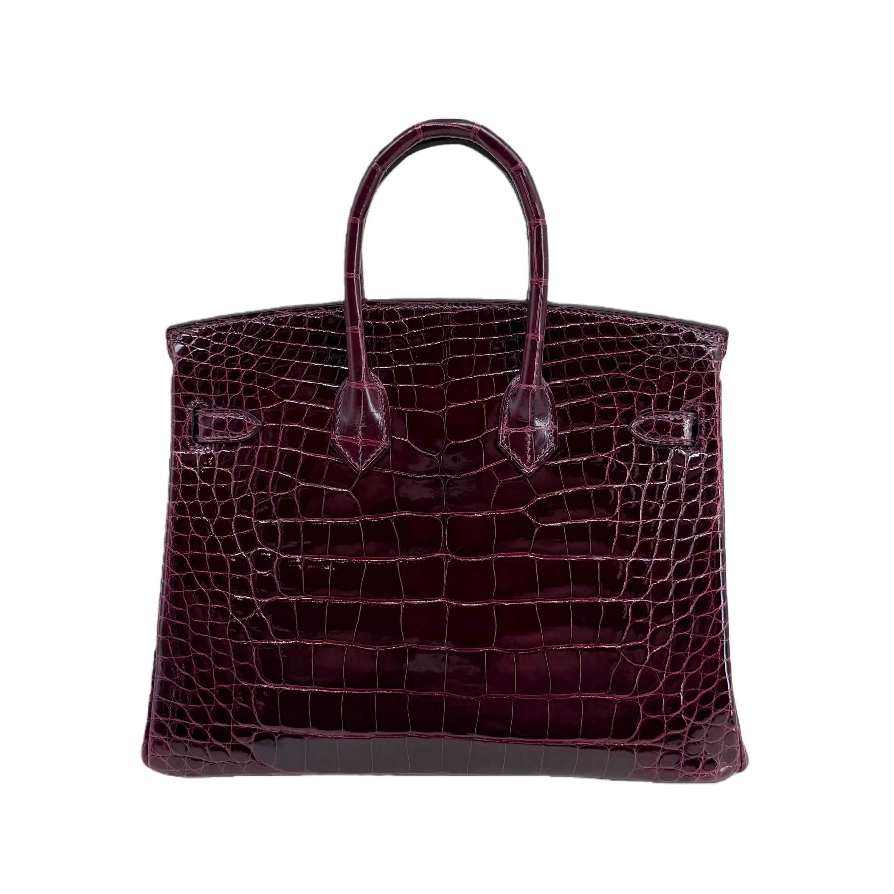 BK 25 Prune Lisse Alligator Gold Hardware – Exotic Mini Masterpiece