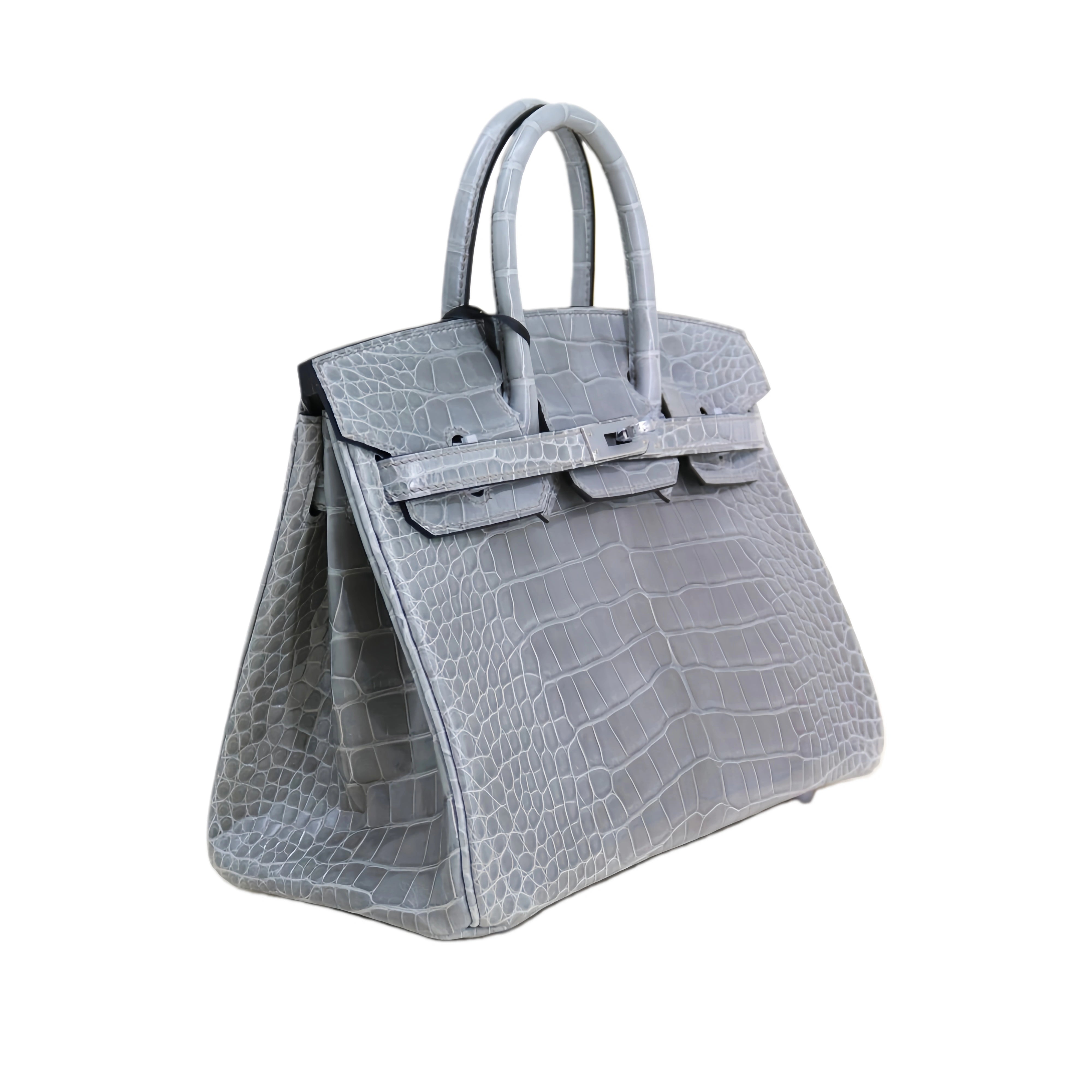 BK 25 Lisse Alligator Handbag Glacier Grey