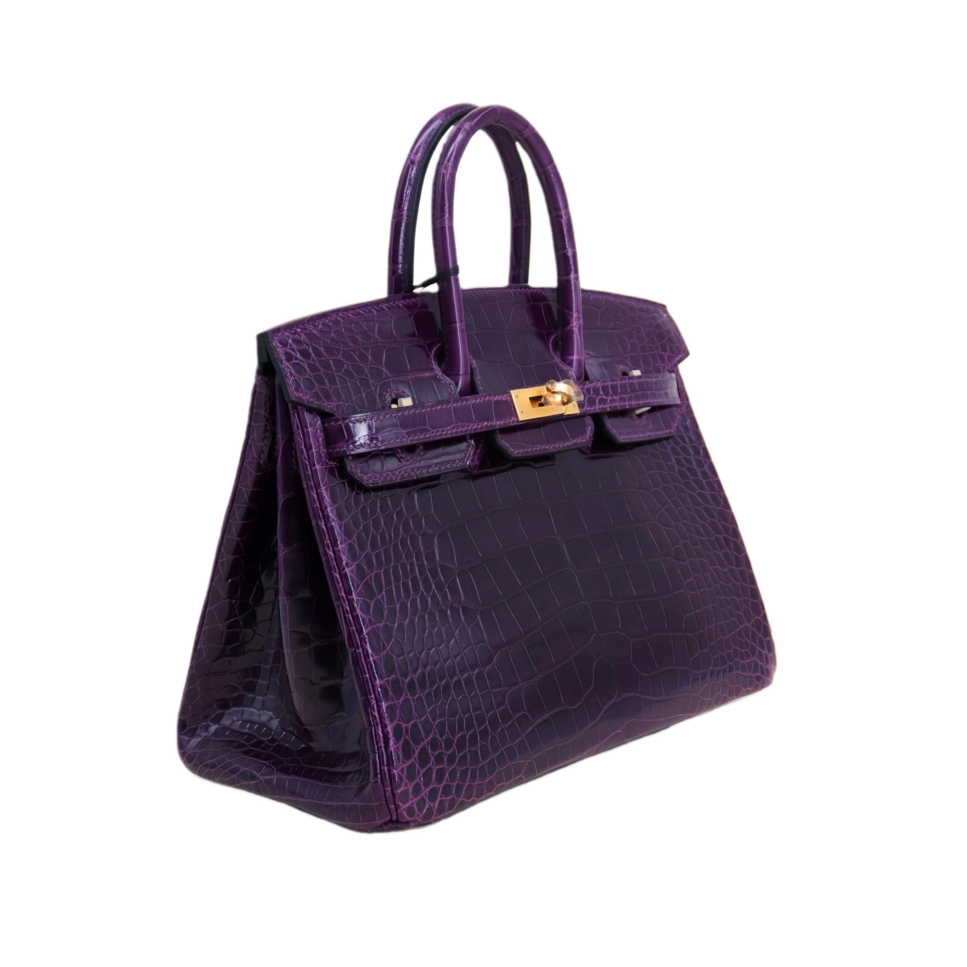 BK 25 Lisse Alligator Handbag Violet